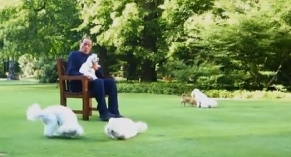 Silvio Berlusconi corre con Dudù sul prato di Arcore