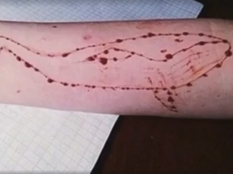 Blue Whale a Pescara, due casi in 2 giorni: "Salvi per miracolo"