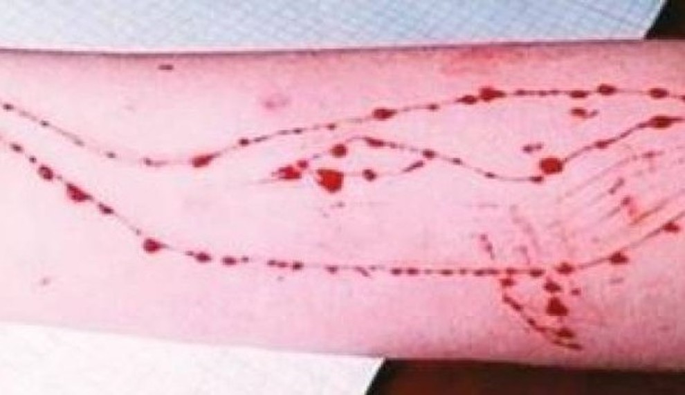 Blue Whale a Mirano, insegnante: "Non avevo nessun sospetto"