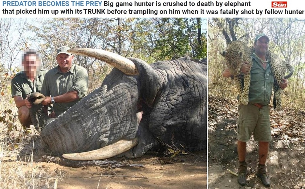 Cacciatore muore schiacciato da elefante ucciso dal compagno di caccia