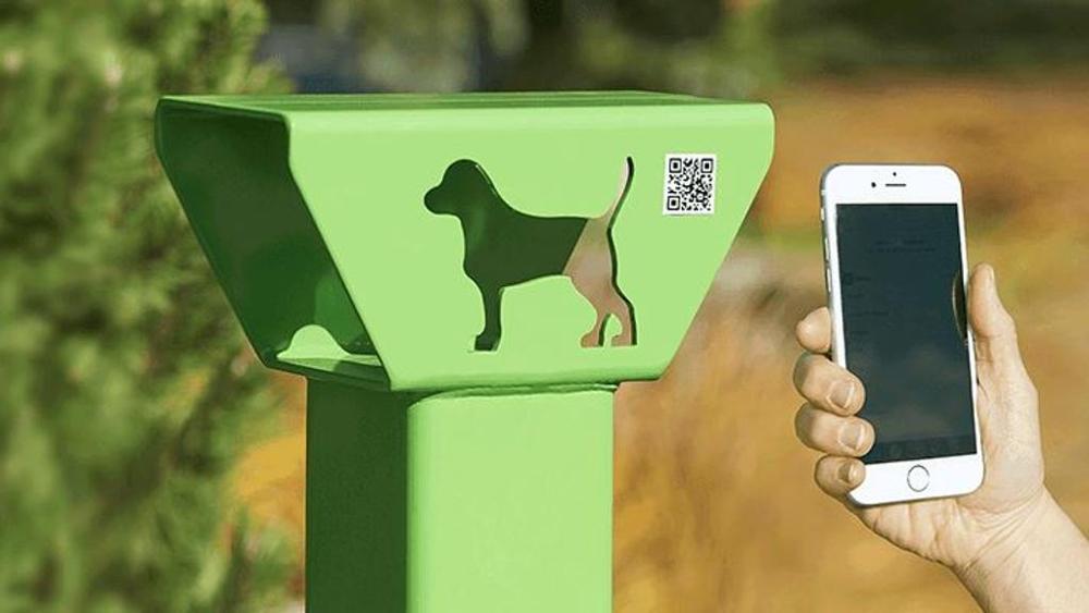 Canada, energia dagli escrementi dei cani: il rivoluzionario progetto