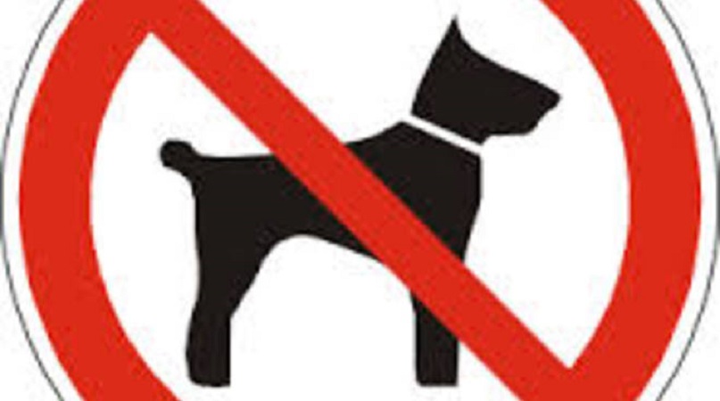 Bogliasco, divieto di accesso ai cani. Turisti protestano: "Ridicolo"