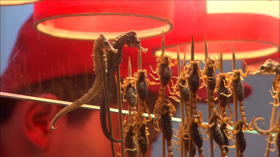 Cinesi stanno sterminando i cavallucci marini per la loro medicina