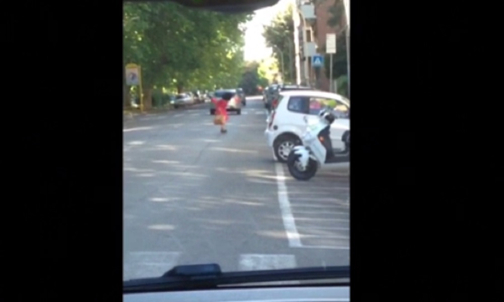 Roma, una cornacchia attacca una donna all'Eur VIDEO