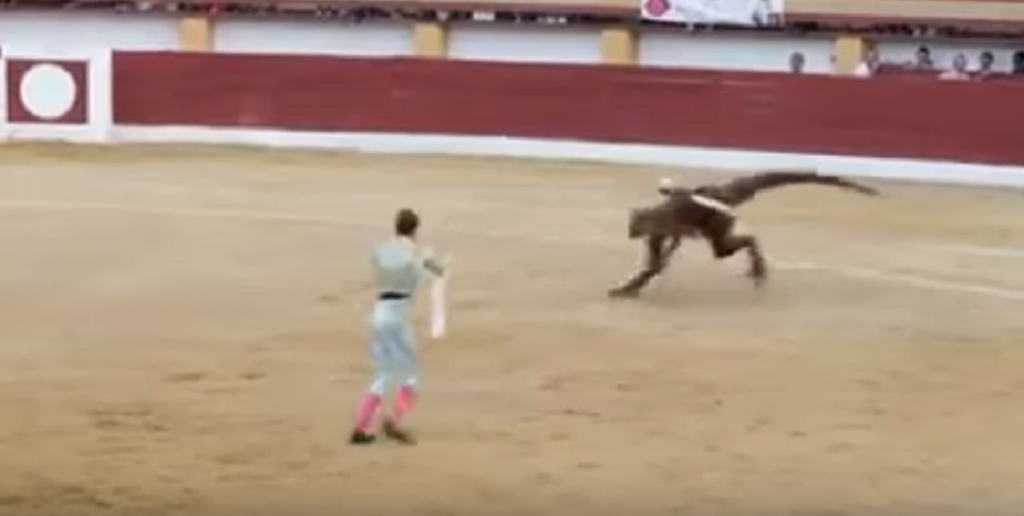Torero contro dinosauro, spot ironico: "Corrida spettacolo preistorico"