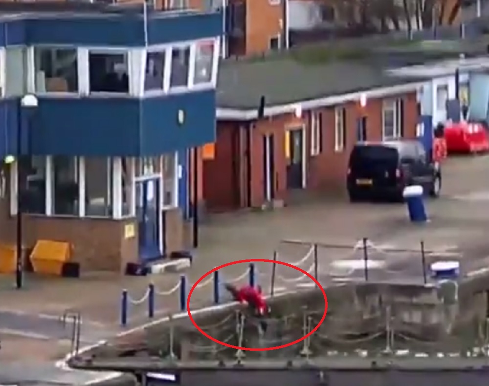 YOUTUBE Gatto cade nel Tamigi e il coraggioso passante lo salva così