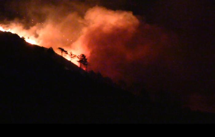 Incendio a Naso (Messina): "Inferno, case evacuate, 300 ettari di terreno bruciati"