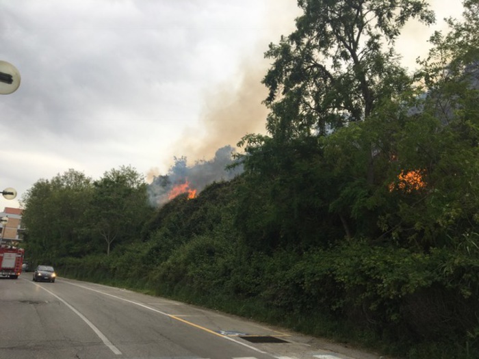 Termoli, vasto incendio a Rio-Vivo: case sgomberate, circolazione treni interrotta