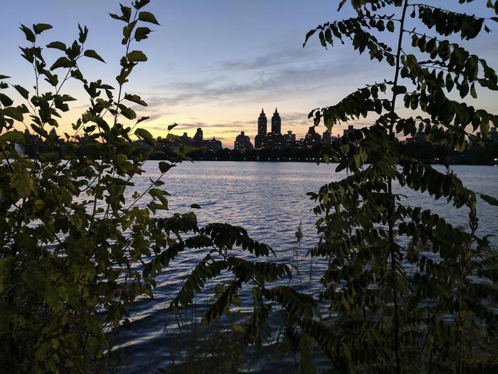 New York, trovati due cadaveri nel lago a Central Park