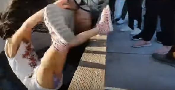 YOUTUBE Bambina scherza con il leone marino, l'animale la trascina in acqua