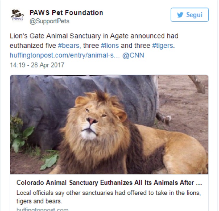 Colorado, uccidono gli undici animali della riserva per motivi "burocratici"