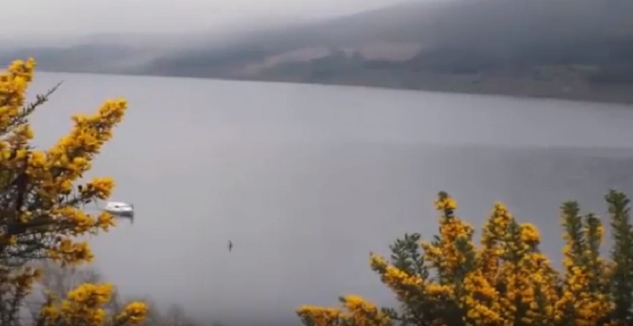 Loch Ness: il VIDEO che prova l'esistenza di Nessie