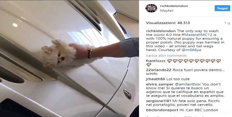 Rich Kids lucidano la Maserati usando un cucciolo di maltese