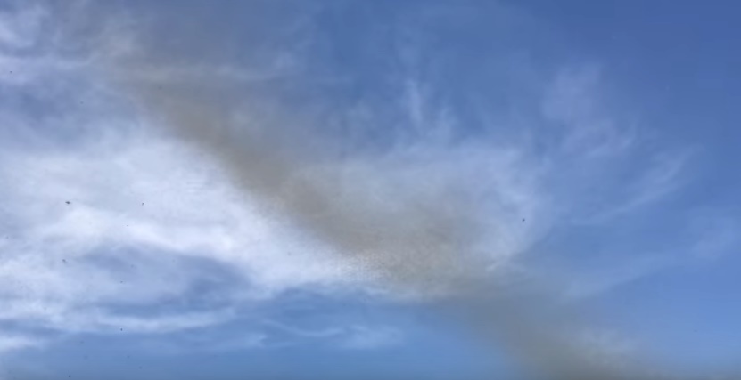 Milioni di moscerini invadono la città: l'impressionante brusio