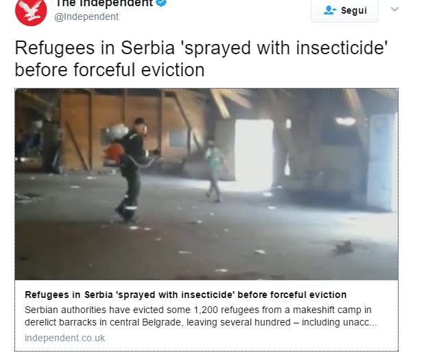 Serbia: "Migranti sgomberati con l'insetticida" VIDEO Indipendent