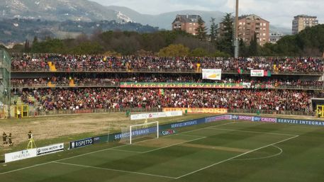 Ternana-Spal streaming - diretta tv, dove vederla (Serie B)