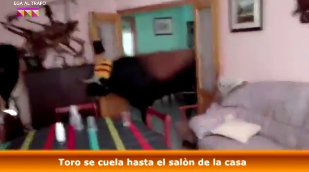 YOUTUBE Toro in fuga dalla corsa entra in una casa e la distrugge: panico a Valencia