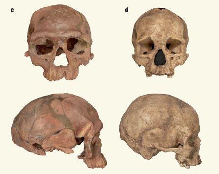 Homo sapiens è più vecchio di 100mila anni: i resti fossili scoperti in Marocco