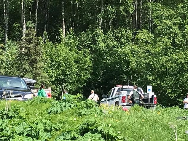 Alaska, runner 16enne attaccato e sbranato da orso durante gara