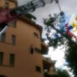 Albero cade in via XXX Aprile a Roma e schiaccia auto in sosta