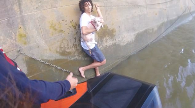 Londra, salva cane nel Tamigi: i soccorsi recuperano entrambi