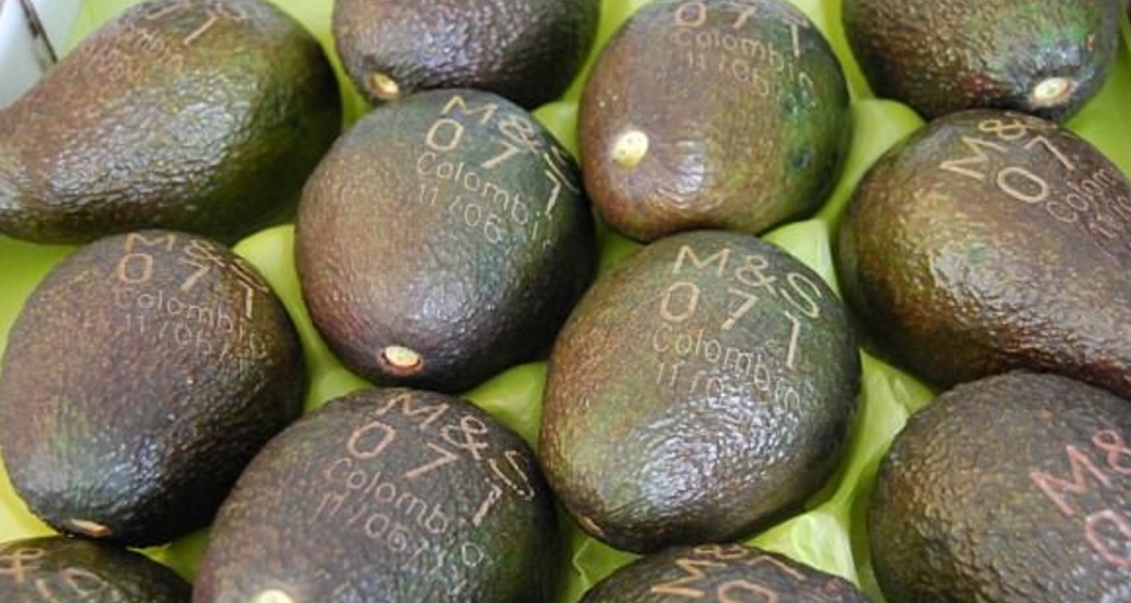 Etichette addio, sugli avocado arrivano i tatuaggi laser sulla buccia