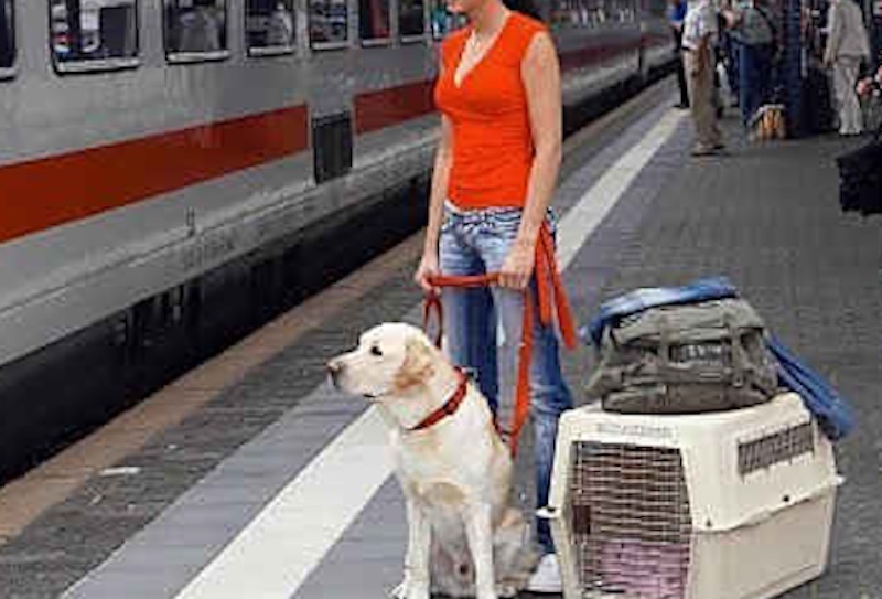 Daniela Martani, pasionaria veg contro Trenitalia: "Per portare mio cane dalla D'Urso ho speso una fortuna"