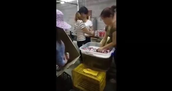 YOUTUBE Birra Bud contraffatta in Cina: prodotta in condizioni igieniche tremende