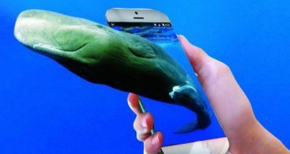 Ristorante "Balena blu" scambiato online per la centrale dei suicidi Blue Whale