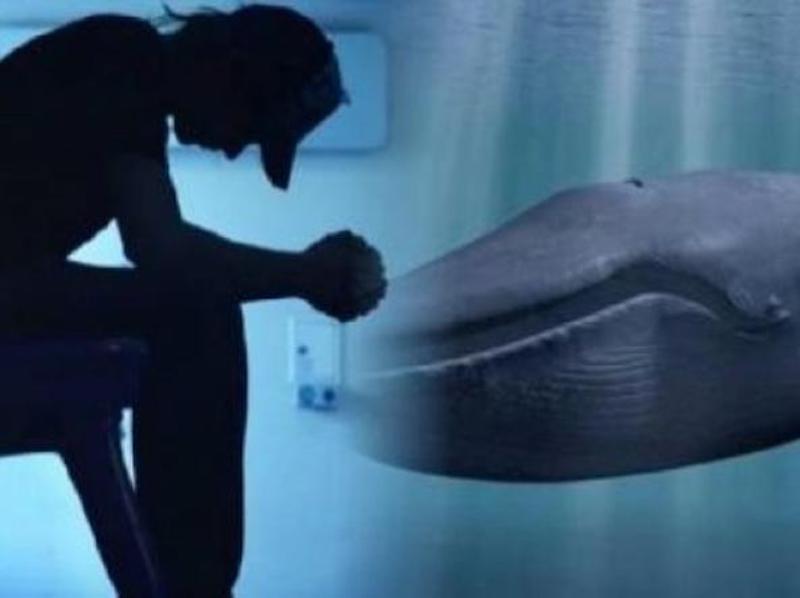 Blue Whale, da Mantova salva l'amico a Roma. "Non riusciva a smettere"