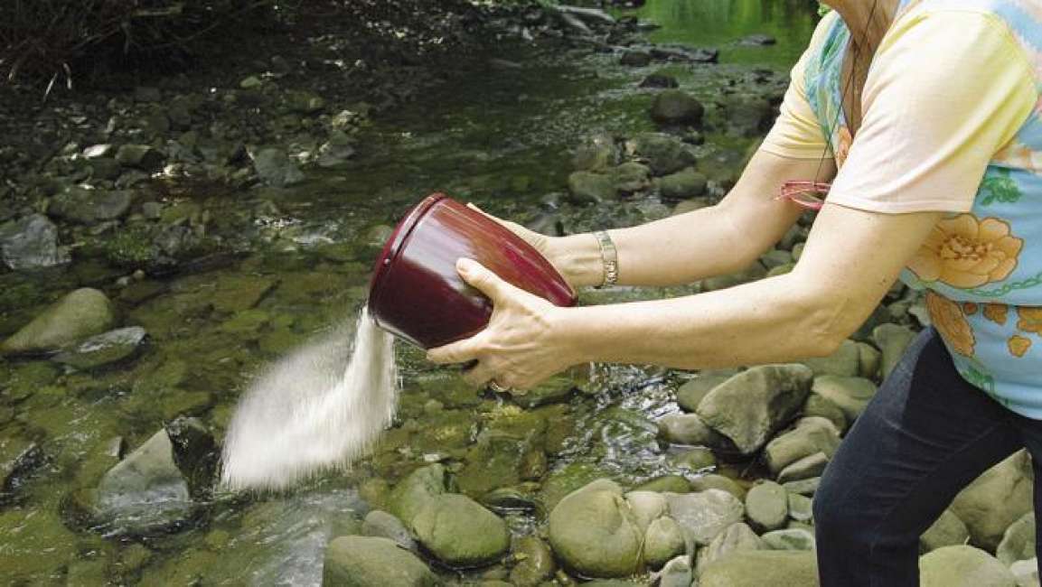 Milano. La Chiesa ribadisce il no alle ceneri dei defunti in casa: "Solo nei cimiteri"