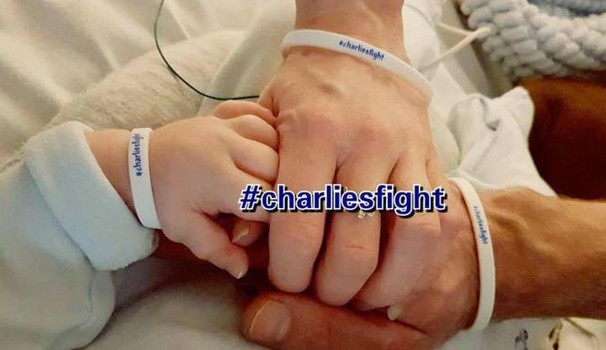 Charlie, Grillo scatena dibattito: "Ue peggio di Pilato". Renzi: "Non me lo levo dalla testa"