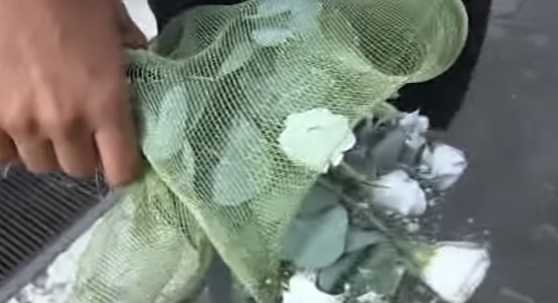 YOUTUBE Alessandro Di Battista romantico, intervista con un mazzo di fiori in mano