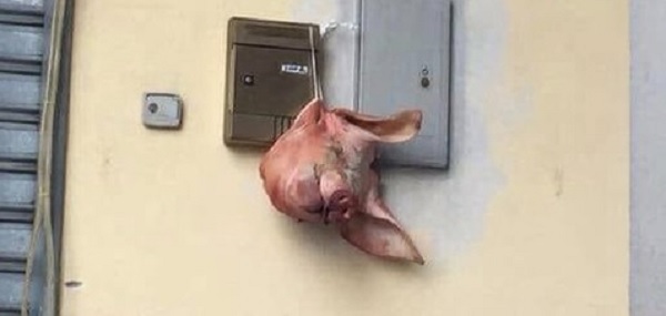 Olevano sul Tusciano, testa di maiale davanti a Juventus club