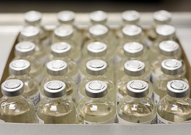 "Se ti infetto di pertosse ti pago 4mila euro": così l'università studia il nuovo vaccino