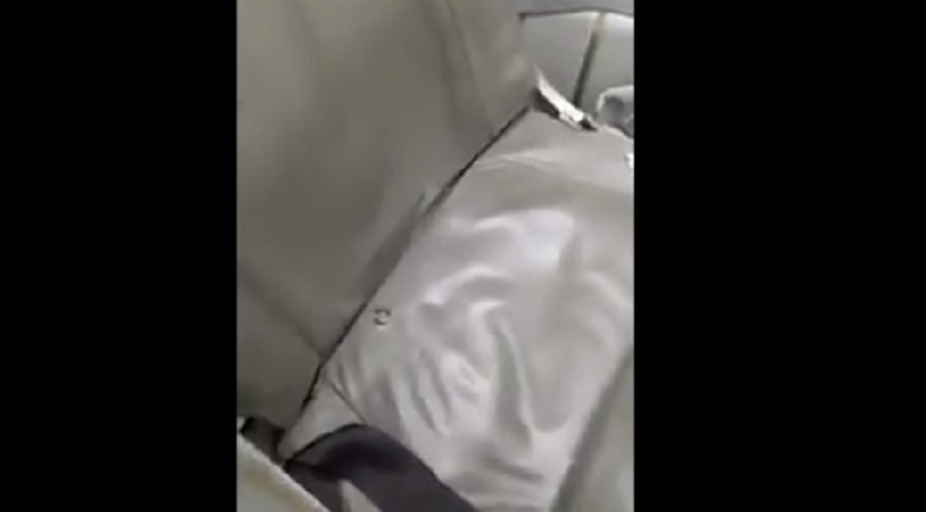 Blatte e scarafaggi a bordo: viaggereste su questo aereo?