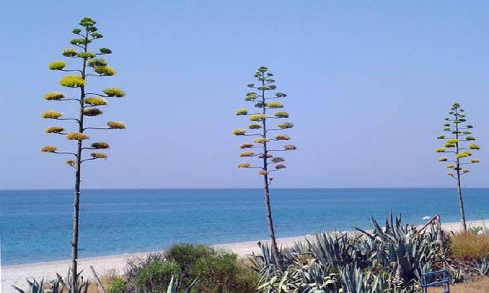 Calabria, le spiagge più belle e bandiera blu nel 2017