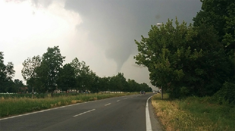 Maltempo, tromba d'aria distrugge stalla a Crema: alberi divelti e finestre rotte