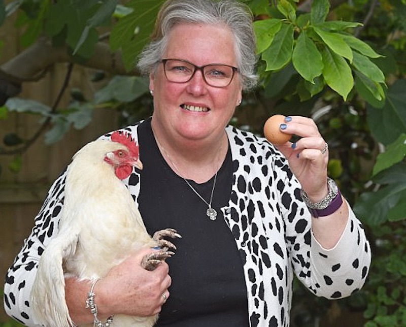 Gallina depone raro uovo a forma di pallina da ping pong: all'asta su eBay01