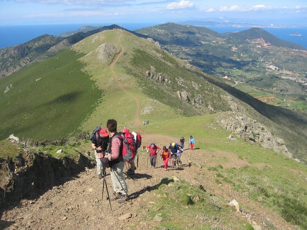 Isola d'Elba, scivola e si conficca bastone occhio: grave bimbo di 8 anni