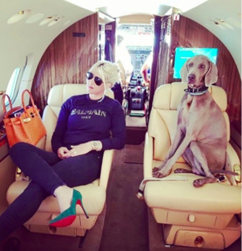 Wanda Nara contestata sui social, sedile in pelle per il cane sul jet privato