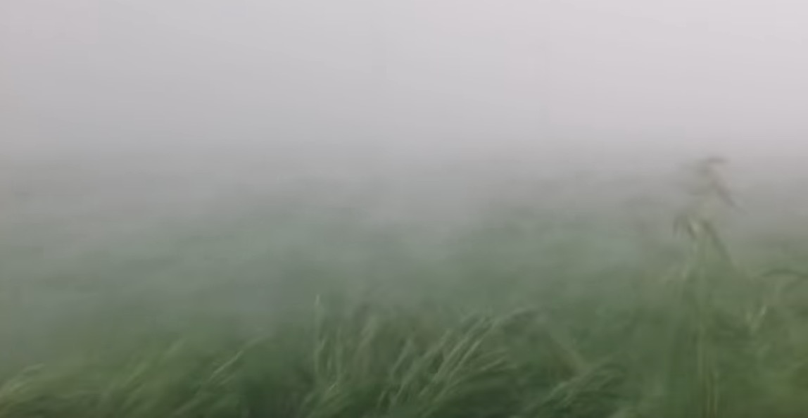 YOUTUBE Vercelli, nubifragio a Crescentino: sembra un tornado