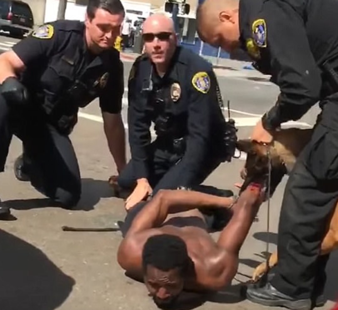 YOUTUBE Usa, cane poliziotto aggredisce nero sospetto: i tre agenti non lo fermano