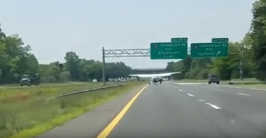 New York, aereo da turismo atterra sulla superstrada