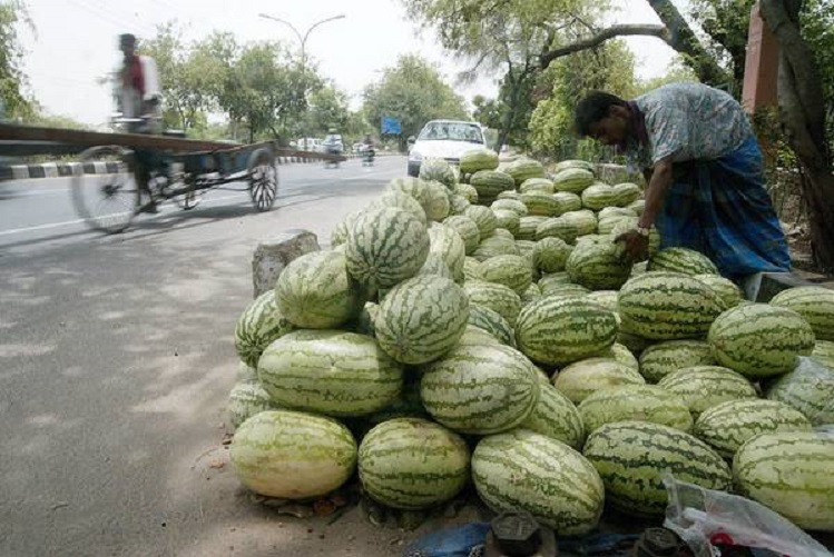 Caporalato, processato a Lecce "Re delle angurie": condannato a 11 anni