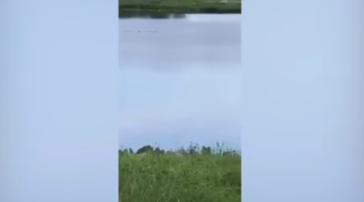 YOUTUBE Vedono disabile annegare, ragazzini filmano e ridono senza chiamare i soccorsi