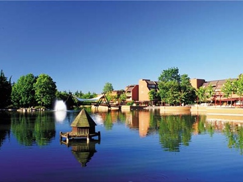 Basiglio, il comune dove vivono più Paperoni d'Italia: qui super redditi oltre 10mila€ al mese