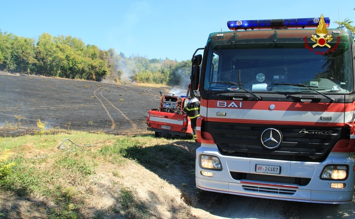Incendi Calabria, Mariano Pizzuti muore carbonizzato: stava spegnendo il rogo nel suo terreno