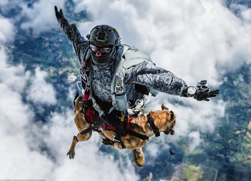 Siara, il pastore belga che si lancia con il paracadute da 4mila metri