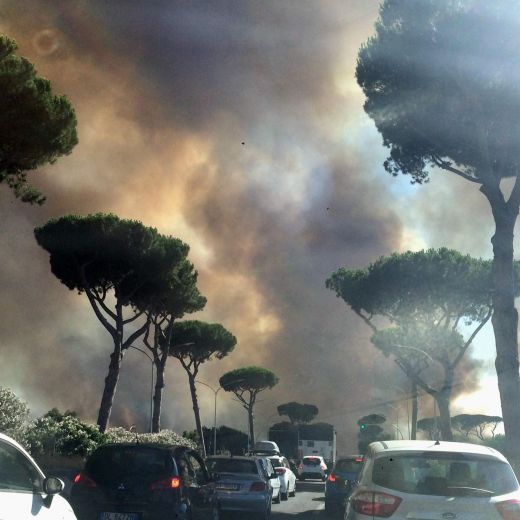 Roma, incendio pineta Castel Fusano: case sgomberate e strade chiuse